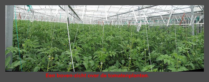 5e Taxandriarit op 1-9-2013 (54).JPG